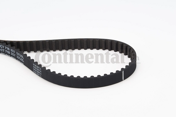 Timing Belt